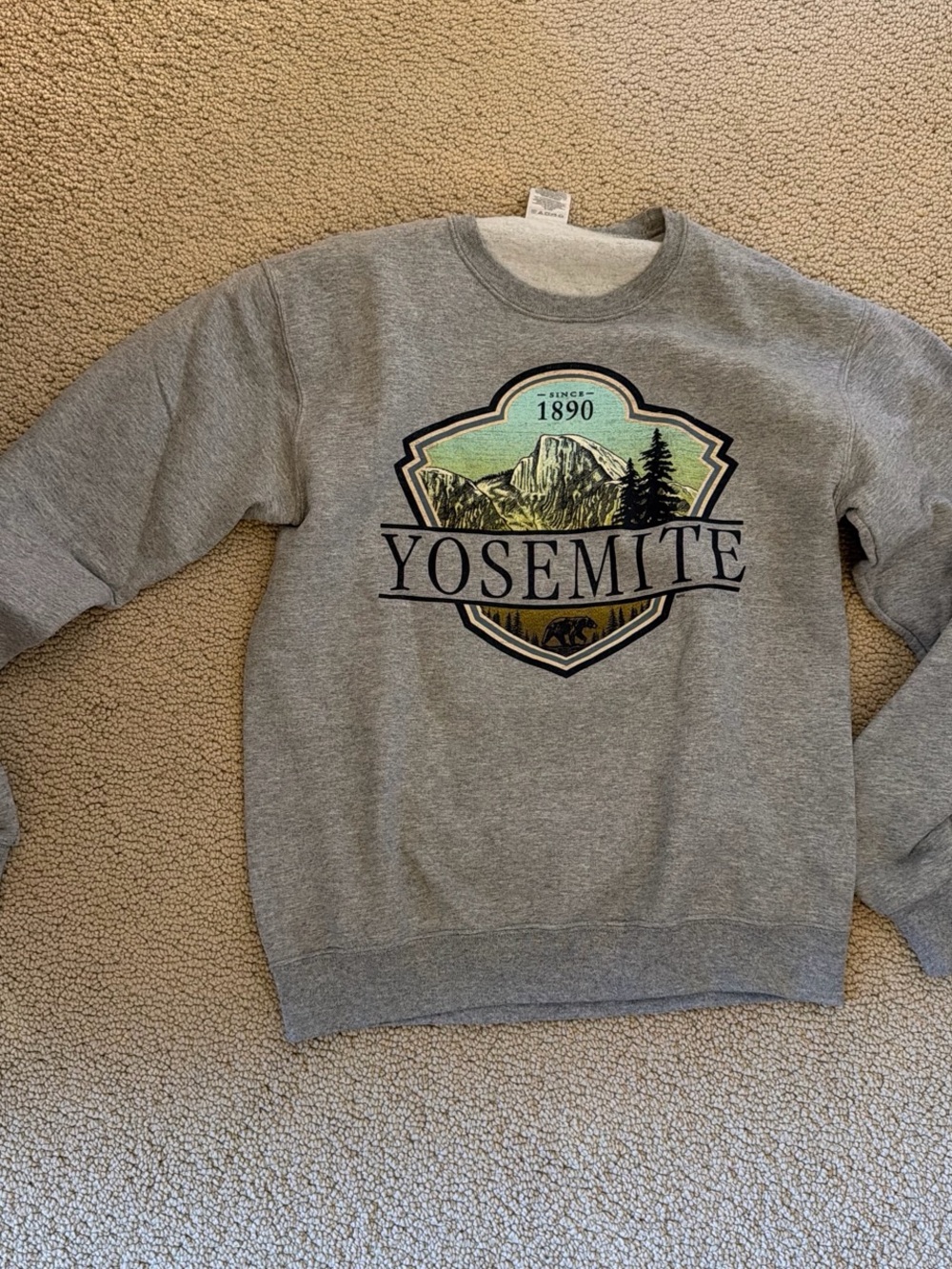 Jerzees Yosemite Crewneck Sweater - Gray with Green Graphic